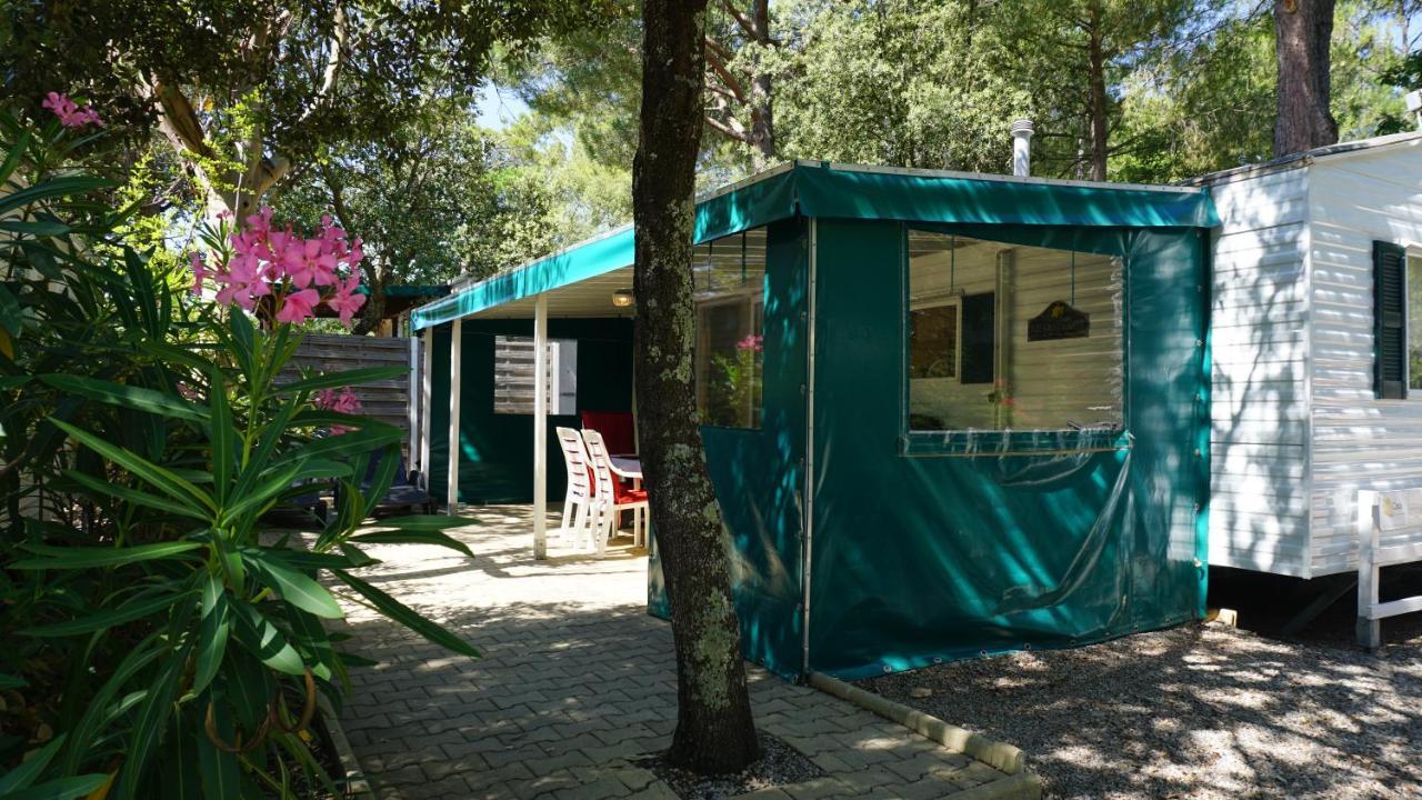 Chalets Met Buitenkeuken Op Camping Lei Suves - Joycasa روكبرون-سور-أرجينس المظهر الخارجي الصورة